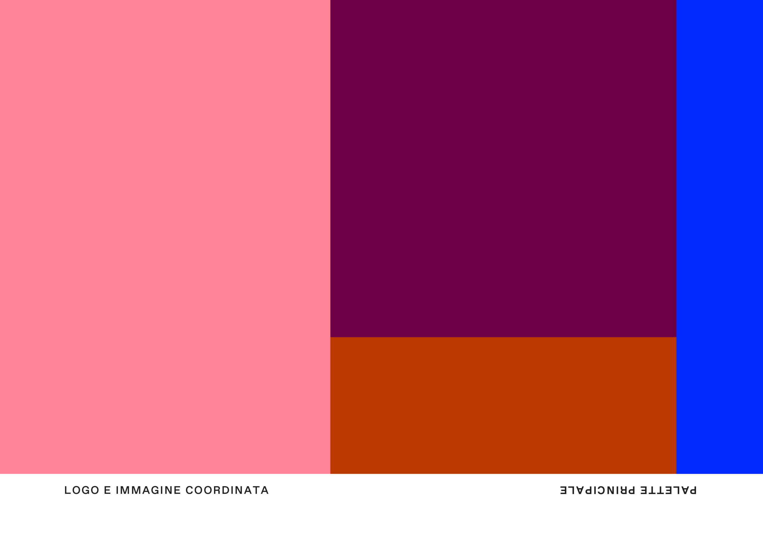 ALL_GYNEPRAIOXSITOWEB_Palette copia